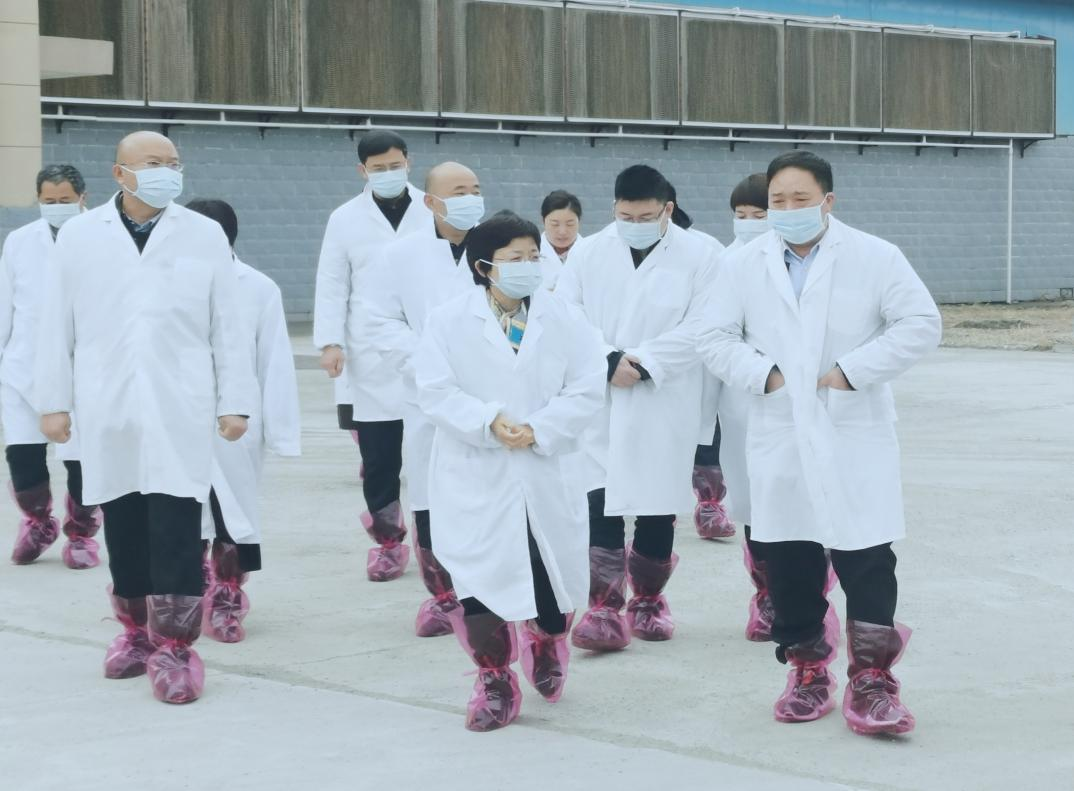 河南省郑州市人民政府副市长李凤芝一行莅临玩球通(中国)一站式服务平台河南瑞亚参观调研