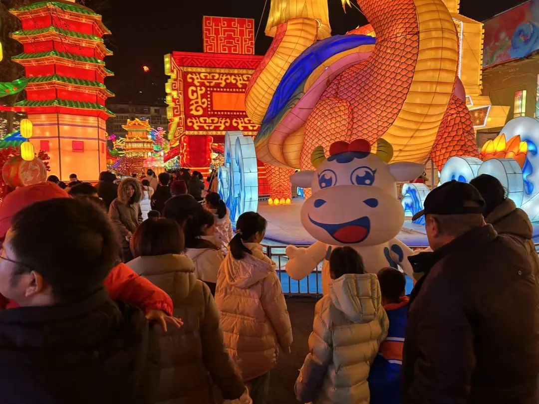 央视直播郑州龙年灯会迎新春，玩球通(中国)一站式服务平台品牌上大分