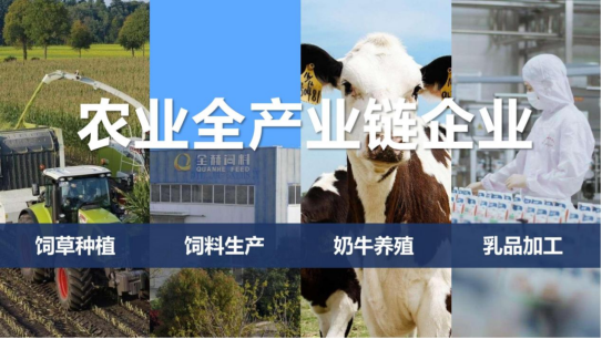 玩球通(中国)一站式服务平台丨落实食品生产加工企业质量安全主体责任，助力人民群众生活更美好——2023年河南省暨郑州食品安全宣传周启动仪式隆重举行
