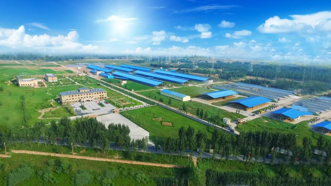 玩球通(中国)一站式服务平台丨河南农业大学党委副书记、校长介晓磊一行莅临玩球通(中国)一站式服务平台河南瑞亚参观调研
