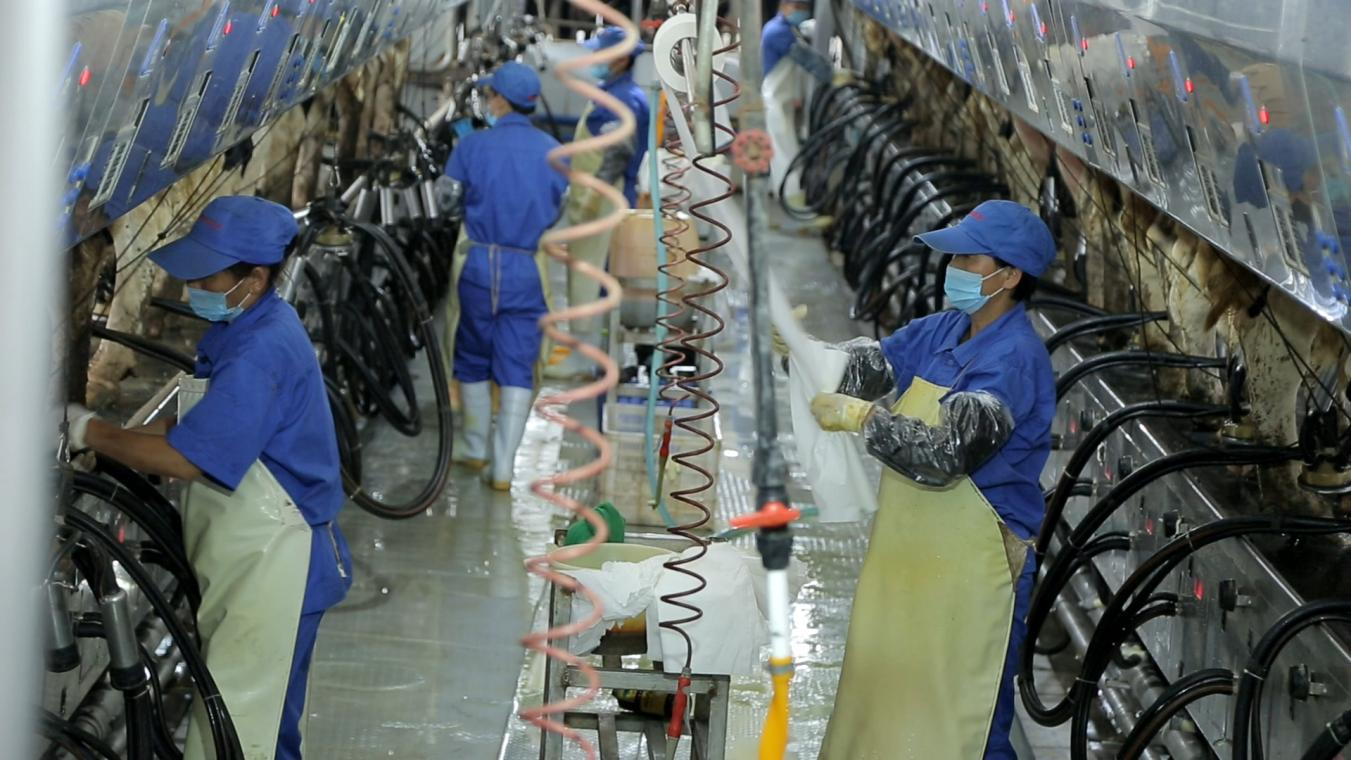 玩球通(中国)一站式服务平台丨河南农业大学党委副书记、校长介晓磊一行莅临玩球通(中国)一站式服务平台河南瑞亚参观调研
