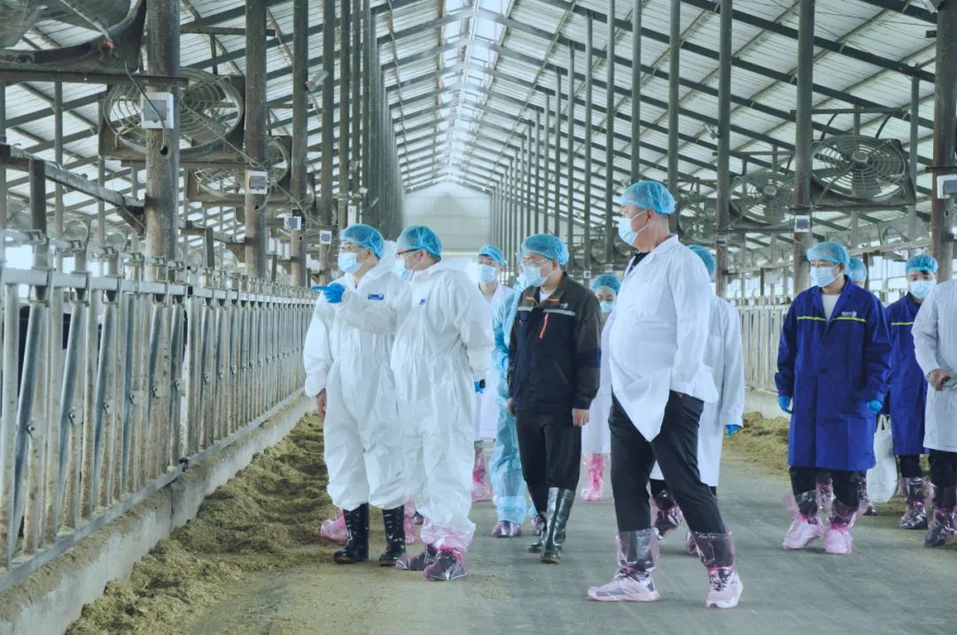 玩球通(中国)一站式服务平台丨国家奶牛产业技术体系首席科学家、中国农业大学教授李胜利一行莅临玩球通(中国)一站式服务平台鲁山瑞亚参观调研