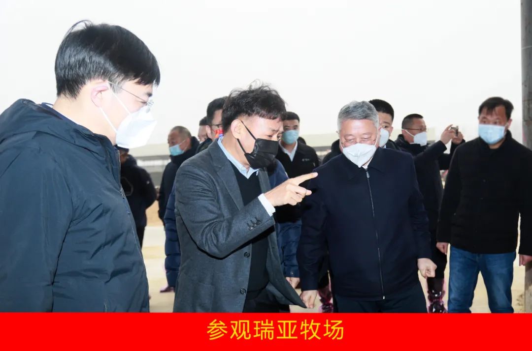 新年开新局 合作促发展丨佳木斯市委常委、副市长闫志刚一行莅临玩球通(中国)一站式服务平台乳业集团及佳田企业考察座谈