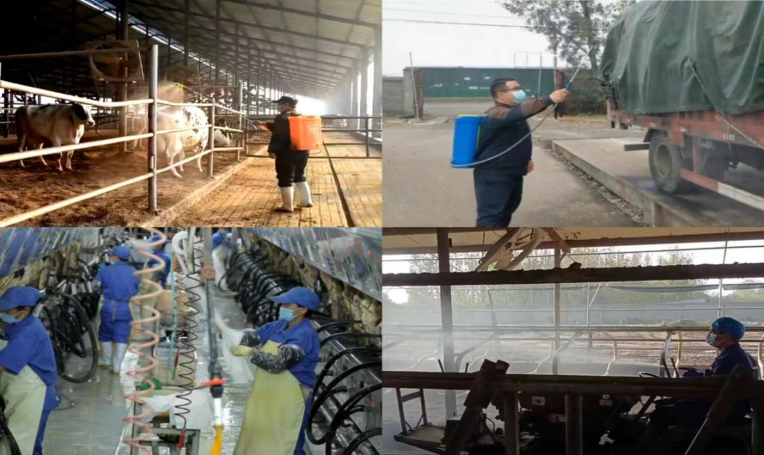 @全体玩球通(中国)一站式服务平台人：请珍惜你的岗位，请善待我们共同的“玩球通(中国)一站式服务平台”！