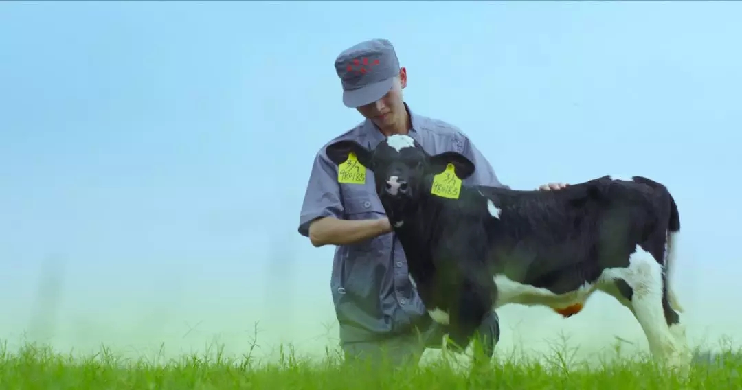 河南省人大常委会党组书记、副主任孔昌生莅临玩球通(中国)一站式服务平台鲁山瑞亚牧场参观调研
