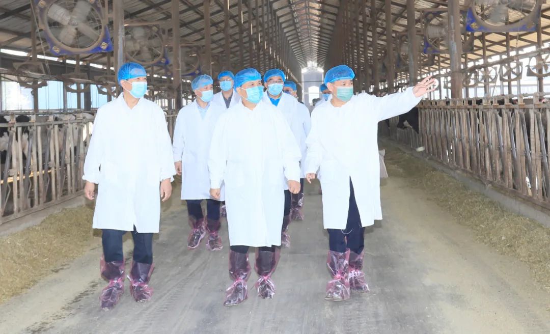 快讯丨河南省人民政府副省长武国定莅临玩球通(中国)一站式服务平台乳业集团瑞亚牧业调研奶源基地建设情况