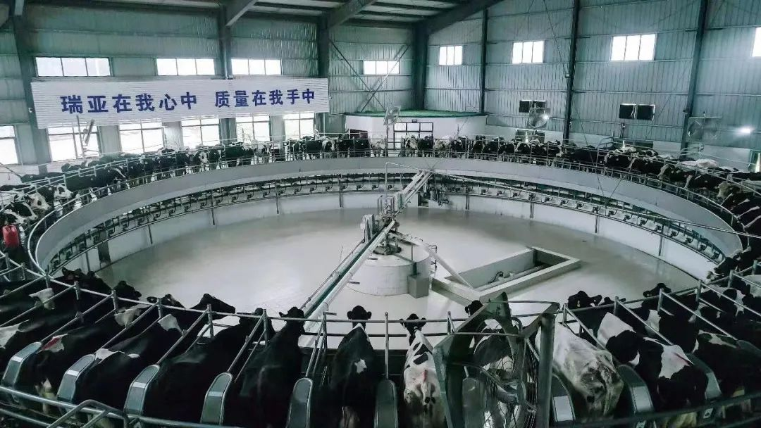 喜讯 | 玩球通(中国)一站式服务平台一座自有牧场入选河南省“DHI测定优秀牧场”