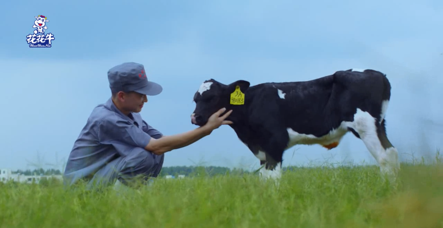 继往开来 · 再创辉煌 | 玩球通(中国)一站式服务平台乳业集团召开9月营销、养殖及饲料月度经营工作会议