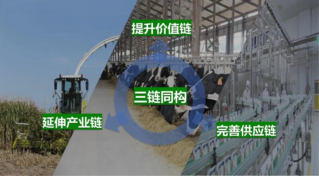 佳木斯市招商考察团莅临玩球通(中国)一站式服务平台考察座谈