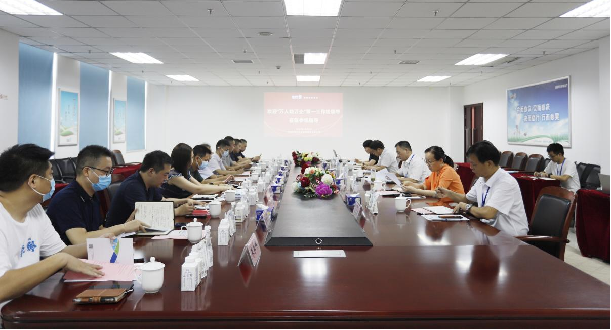 河南省“万人助万企”活动第一工作组 莅临玩球通(中国)一站式服务平台乳业集团调研