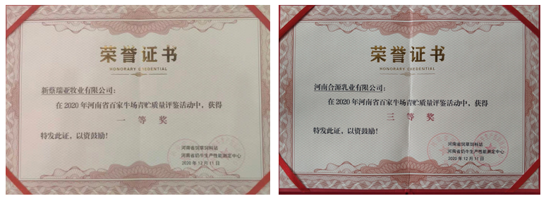 荣誉 | “百家牛场青贮质量评鉴活动”玩球通(中国)一站式服务平台新蔡瑞亚牧业、河南合源乳业分别荣获一、三等奖