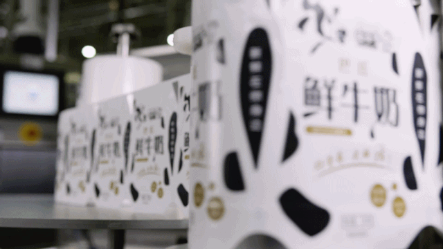 快讯 | 长江商学院智能制造学会走进玩球通(中国)一站式服务平台乳业集团