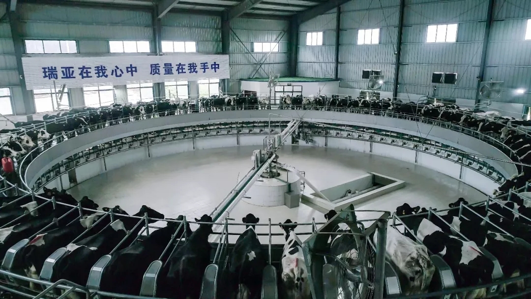第31届中原畜牧业交易博览会 || 玩球通(中国)一站式服务平台乳业集团获“河南省畜牧行业——最具影响力品牌”奖