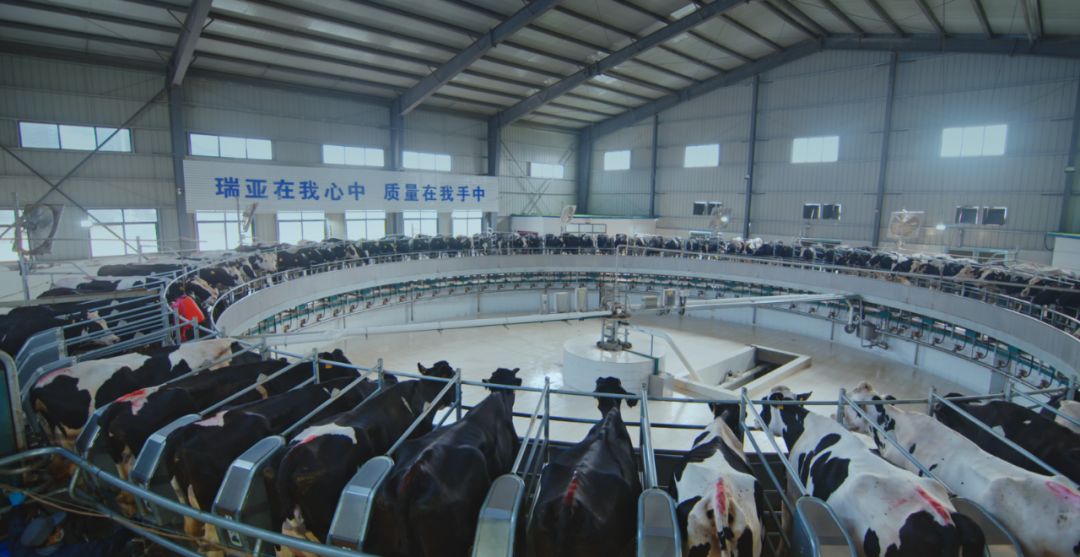 玩球通(中国)一站式服务平台集团旗下六家公司入选省农业产业化重点龙头企业名单