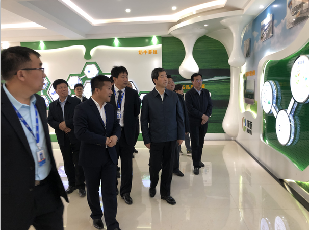 河南省委副书记、省长陈润儿一行莅临 玩球通(中国)一站式服务平台集团鲁山瑞亚牧业有限公司视察调研