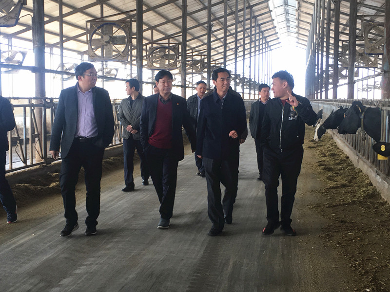 封丘县县长王献臣一行莅临 玩球通(中国)一站式服务平台集团养殖、乳品事业部参观调研