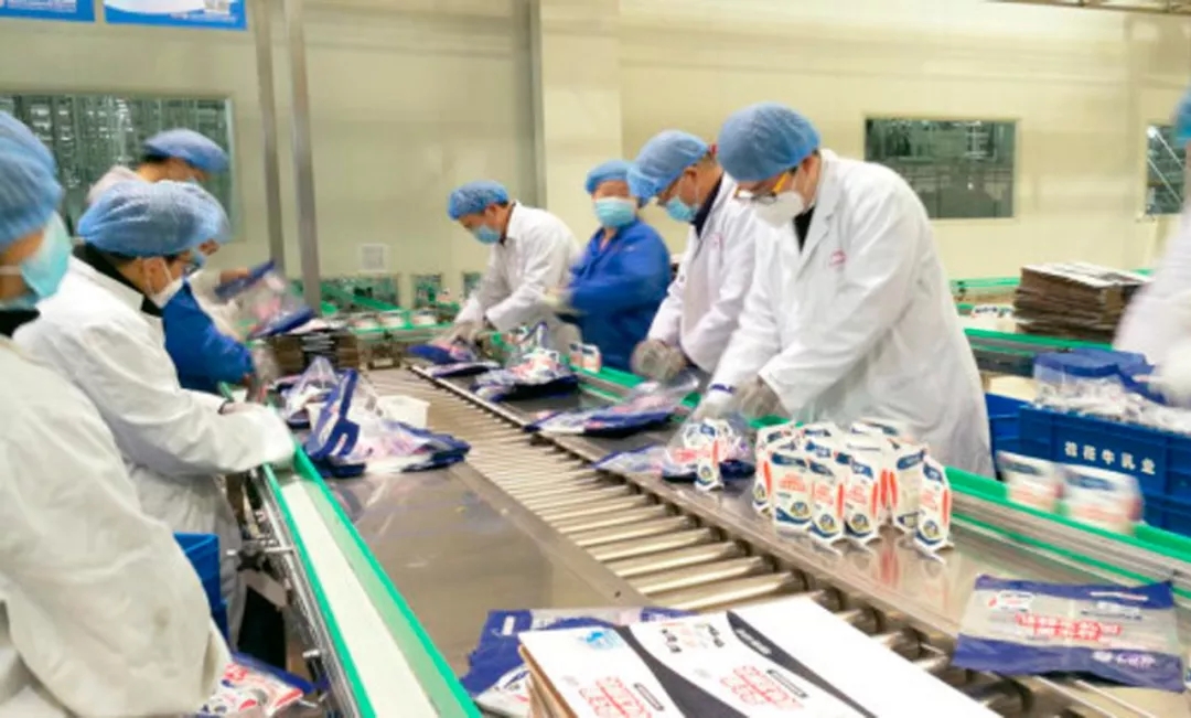 快讯丨河南省副省长武国定莅临玩球通(中国)一站式服务平台乳业集团调研重点保障企业复工复产情况