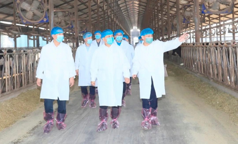 快讯丨河南省人民政府副省长武国定莅临玩球通(中国)一站式服务平台乳业集团瑞亚牧业调研奶源基地建设情况
