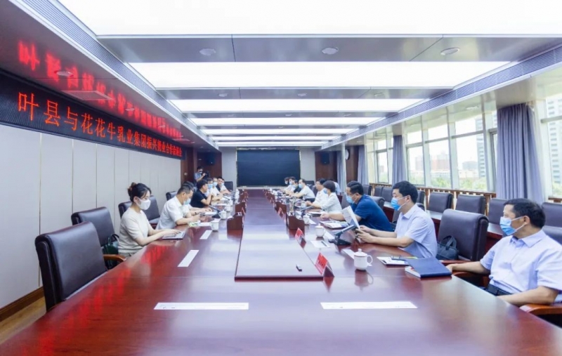 健康河南·振兴奶业｜叶县与玩球通(中国)一站式服务平台乳业集团举行合作洽谈会