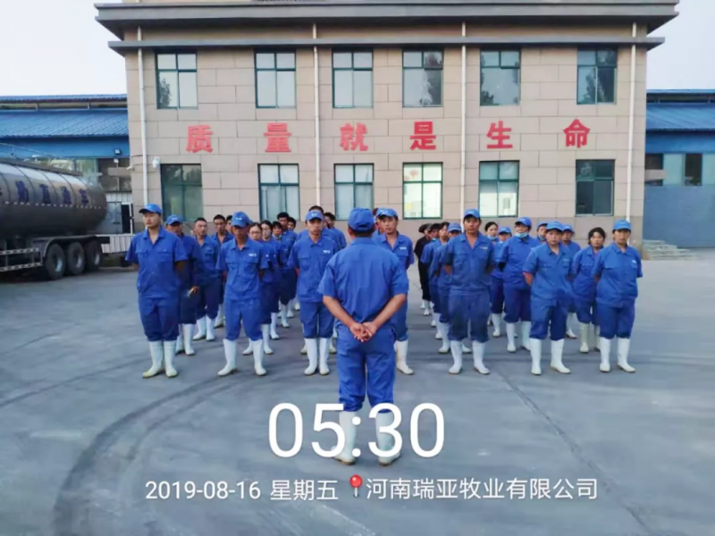 小晨会·大能量——砥砺奋进的玩球通(中国)一站式服务平台，加油！